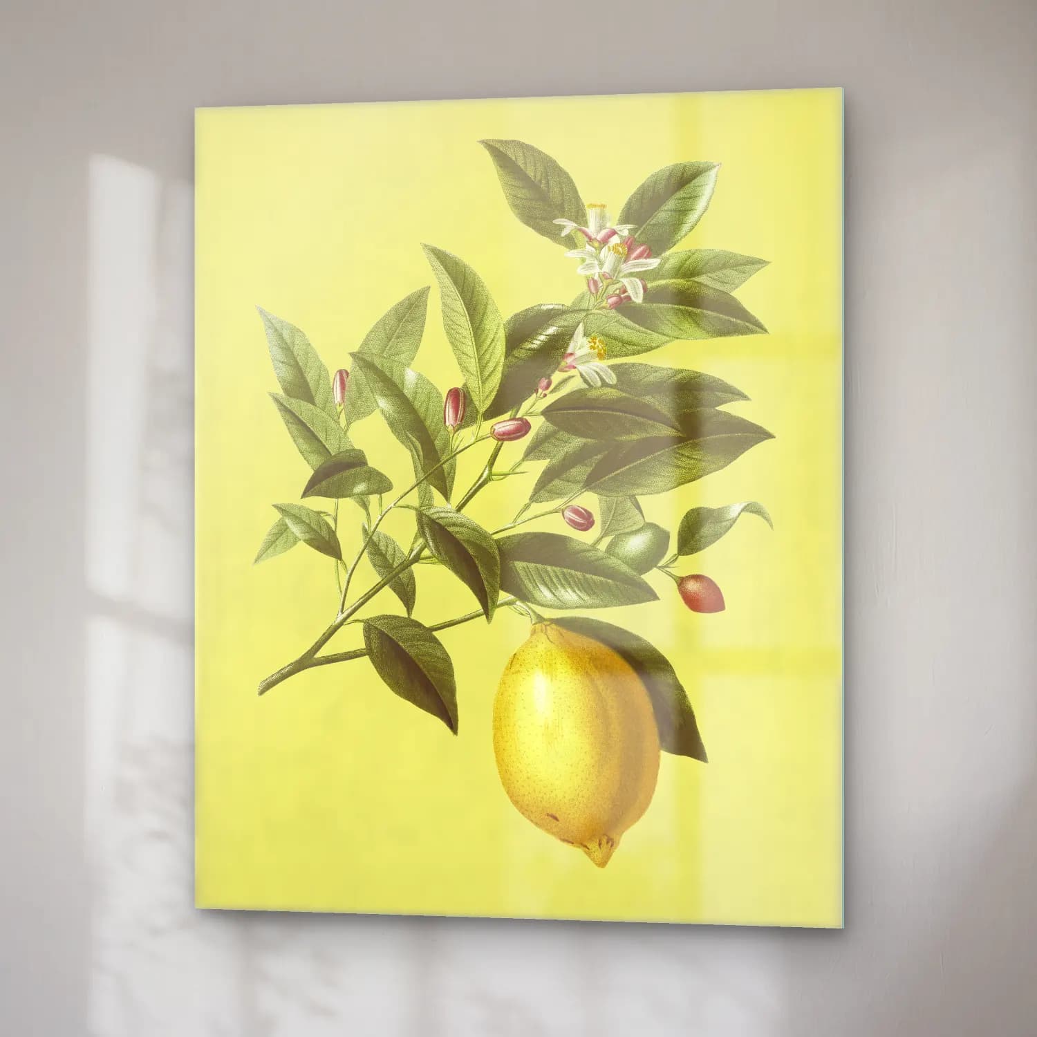 Botanik İllüstrasyon Limon Dalı No. 14 cam tablo — sağ açıdan görünüm
