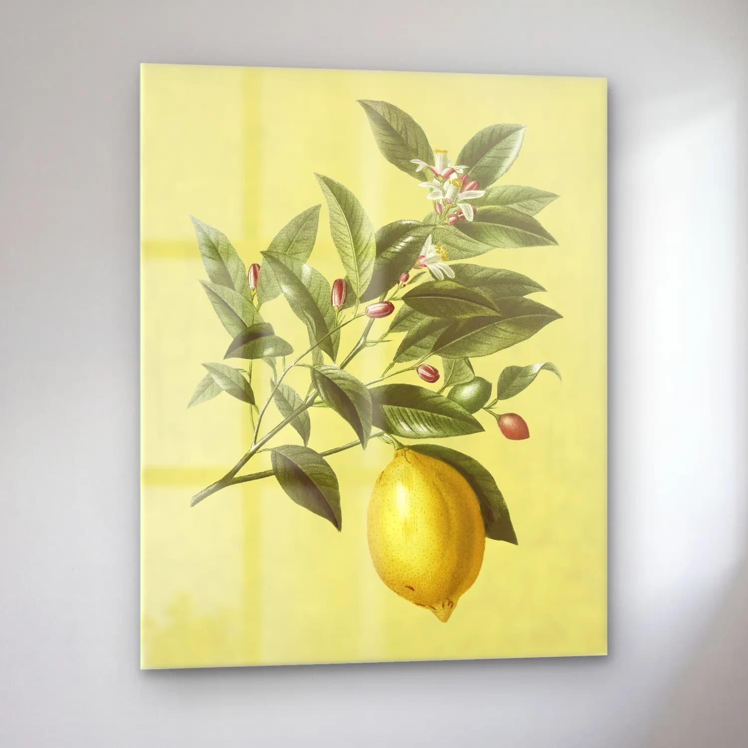 Botanik İllüstrasyon Limon Dalı No. 14 cam tablo — sol açıdan görünüm