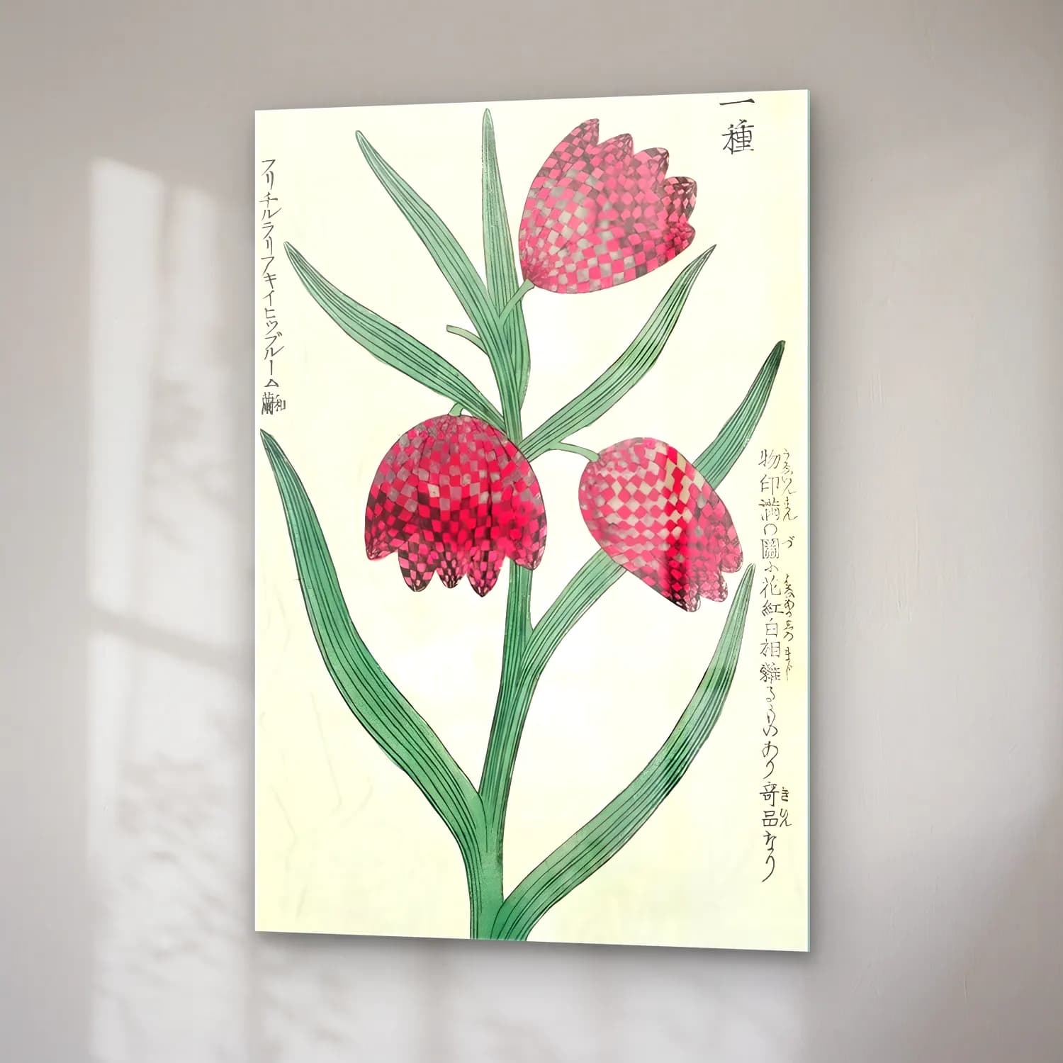 Botanik İllüstrasyon Çiçek Deseni No. 141 cam tablo — sağ açıdan görünüm