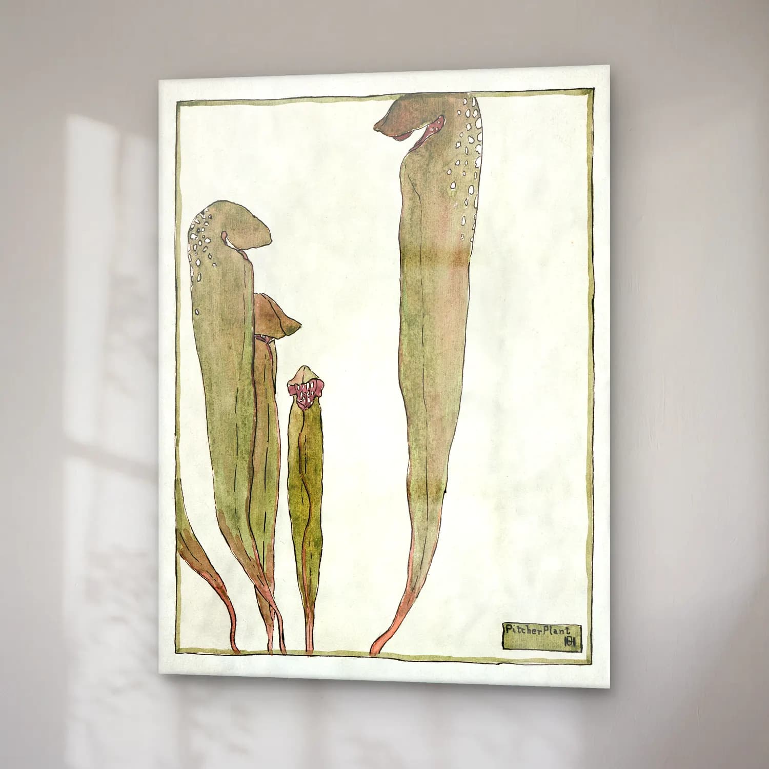 Hannah Borger Overbeck – Pitcher Plant cam tablo — sağ açıdan görünüm