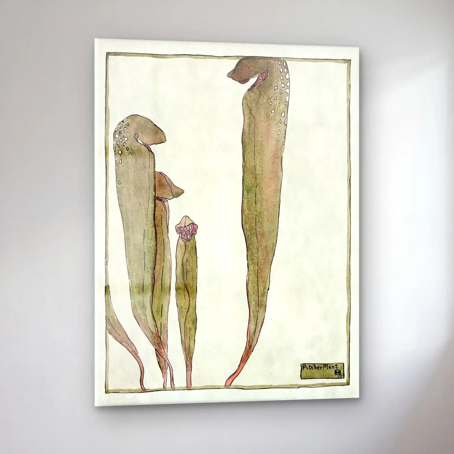 Hannah Borger Overbeck – Pitcher Plant cam tablo — sol açıdan görünüm