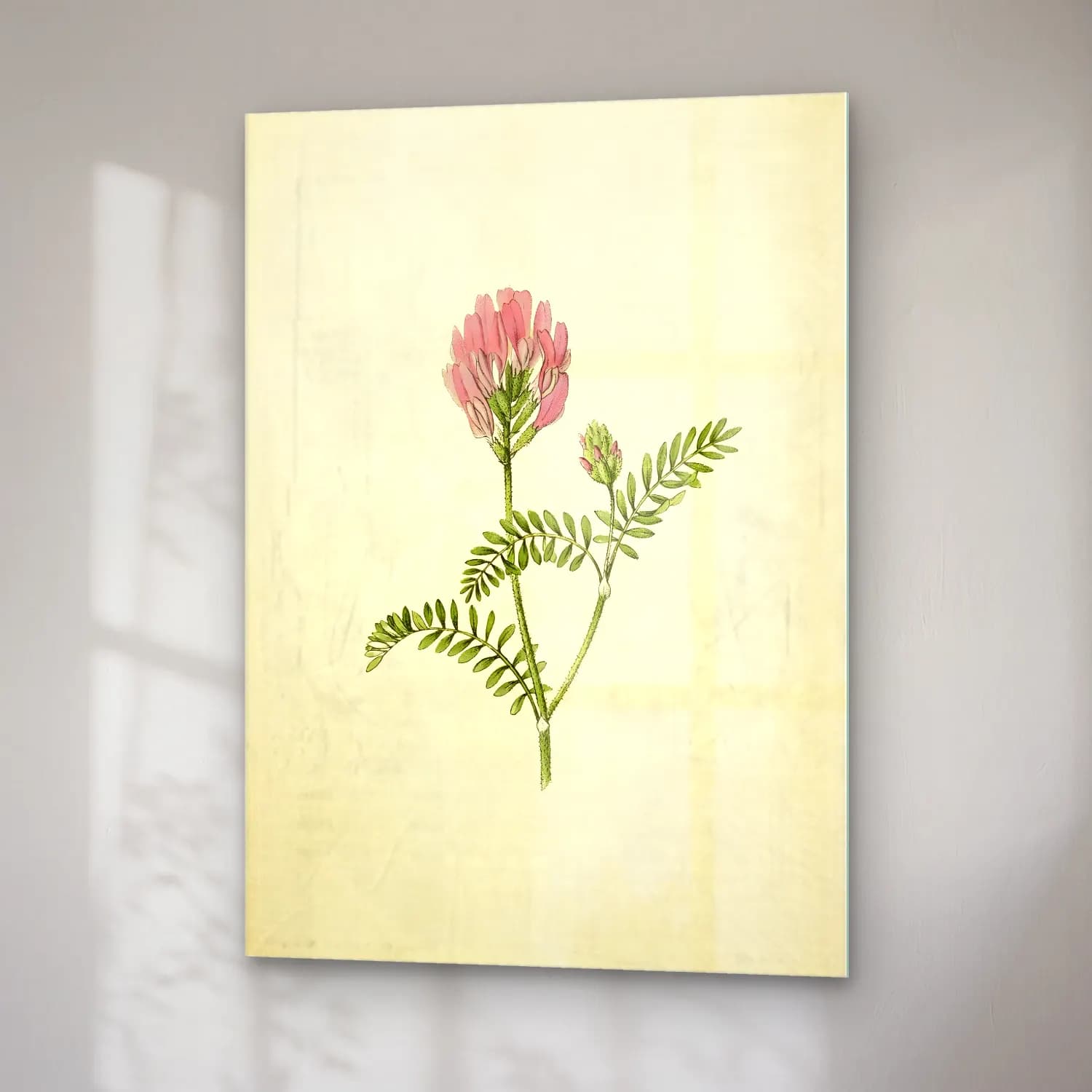 Botanik İllüstrasyon Çiçek Deseni No. 188 cam tablo — sağ açıdan görünüm