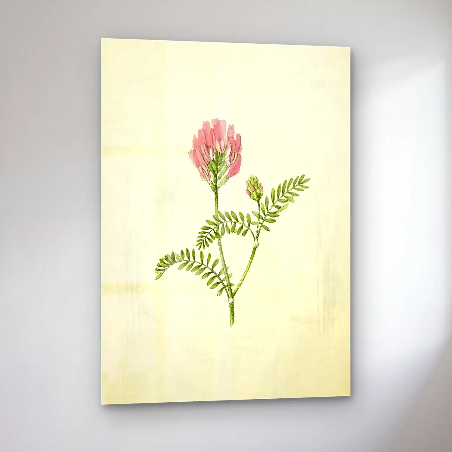 Botanik İllüstrasyon Çiçek Deseni No. 188 cam tablo — sol açıdan görünüm