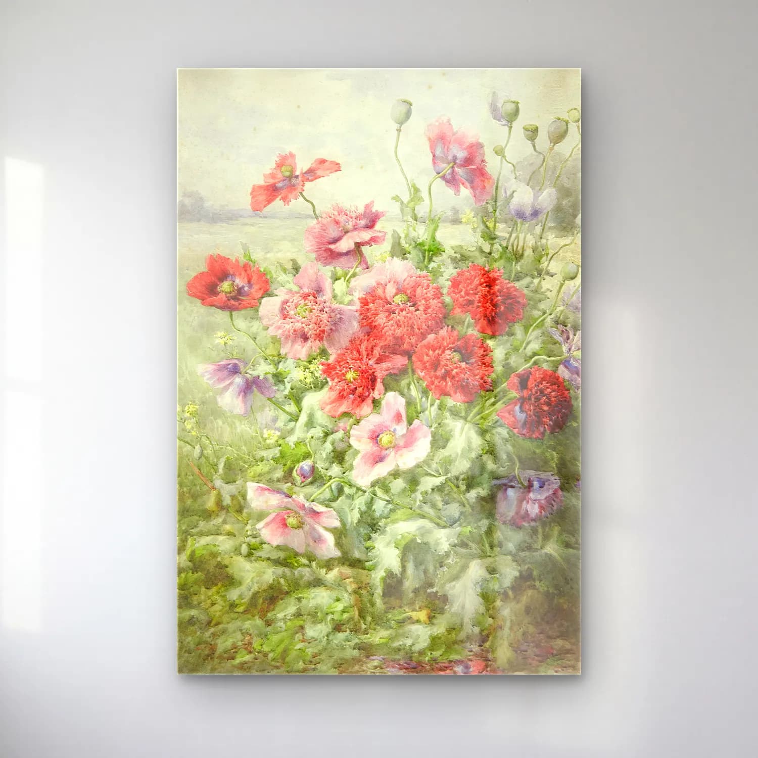 Suluboya Gelincikler – Pastel Tonlar cam tablo — Suluboya Gelincikler – Pastel Tonlar — suluboya gelincikler