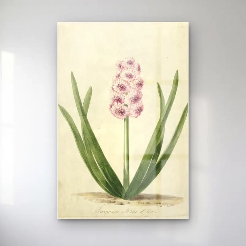 Botanik İllüstrasyon Çiçek Deseni No. 103 cam tablo — Botanik İllüstrasyon Çiçek Deseni No. 103 — botanik i̇llüstrasyon çiçek deseni