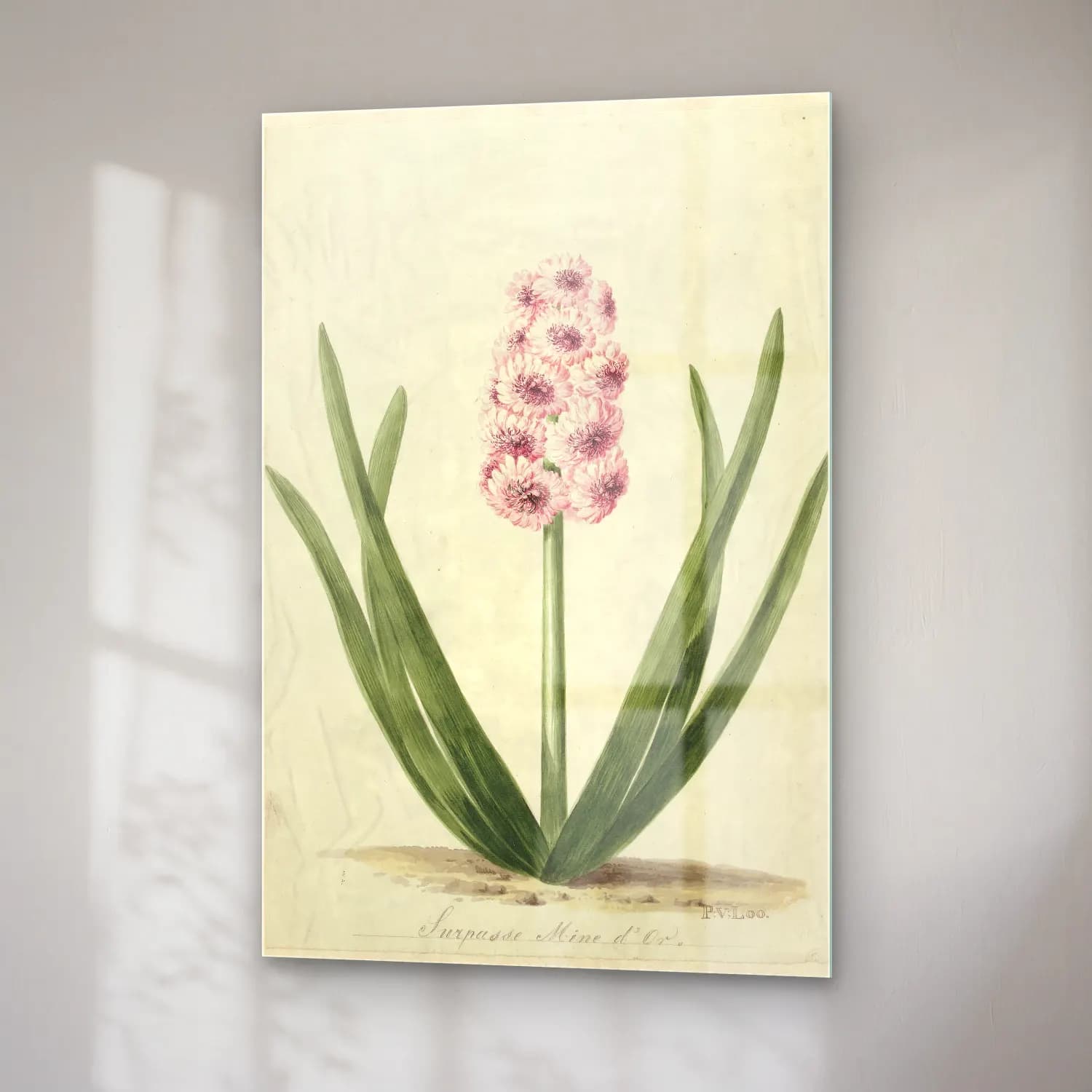 Botanik İllüstrasyon Çiçek Deseni No. 103 cam tablo — sağ açıdan görünüm