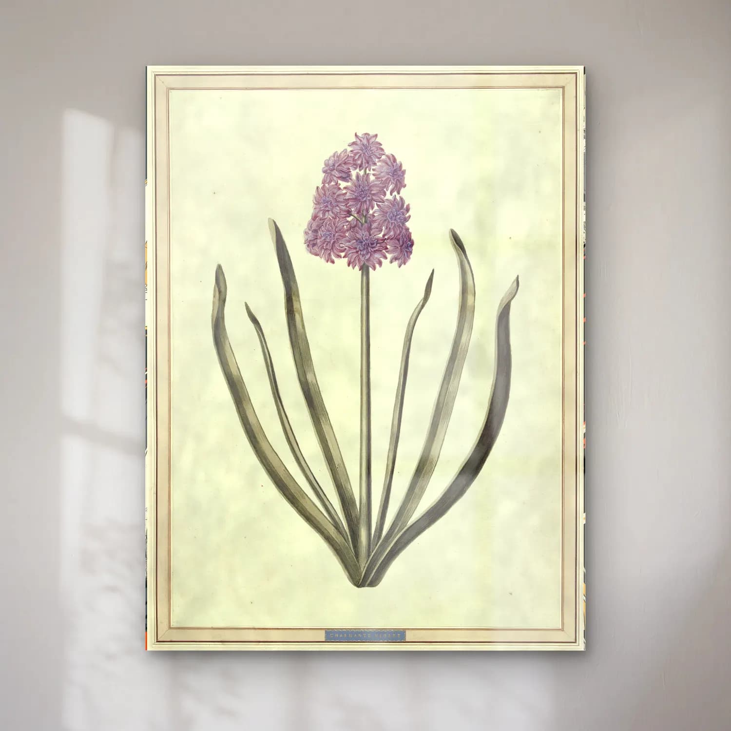Botanik İllüstrasyon Çiçek Deseni No. 104 cam tablo — Botanik İllüstrasyon Çiçek Deseni No. 104 — botanik i̇llüstrasyon çiçek deseni