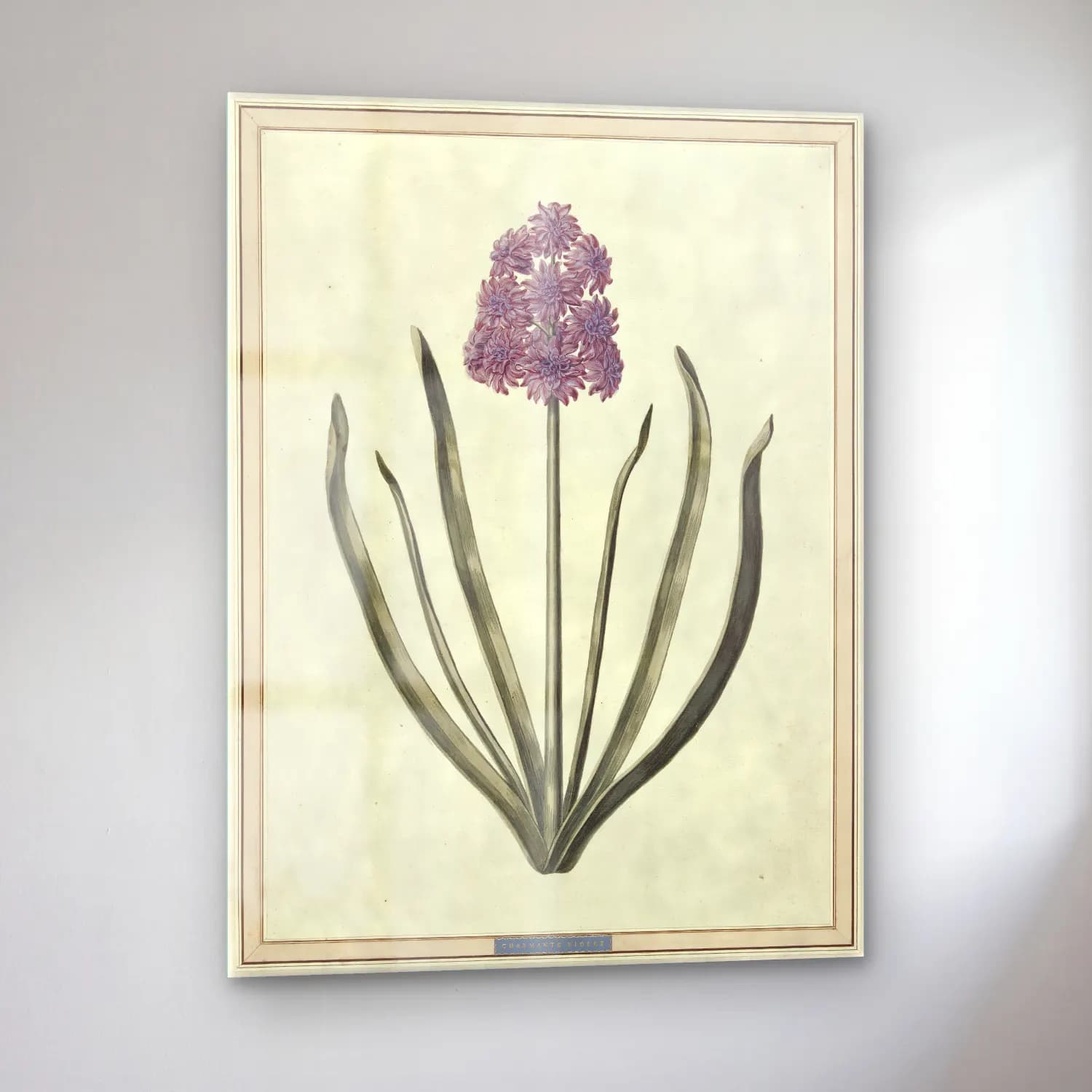 Botanik İllüstrasyon Çiçek Deseni No. 104 cam tablo — sol açıdan görünüm
