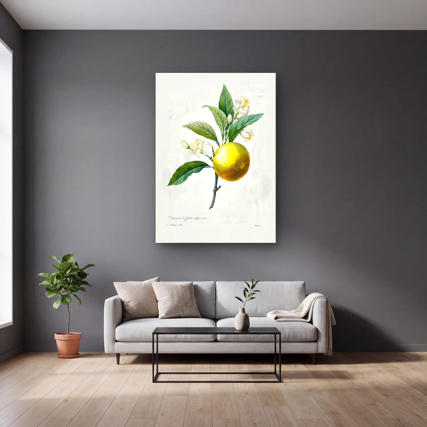 Botanik İllüstrasyon Limon Dalı No. 12 cam tablo — gri duvarlı salonda