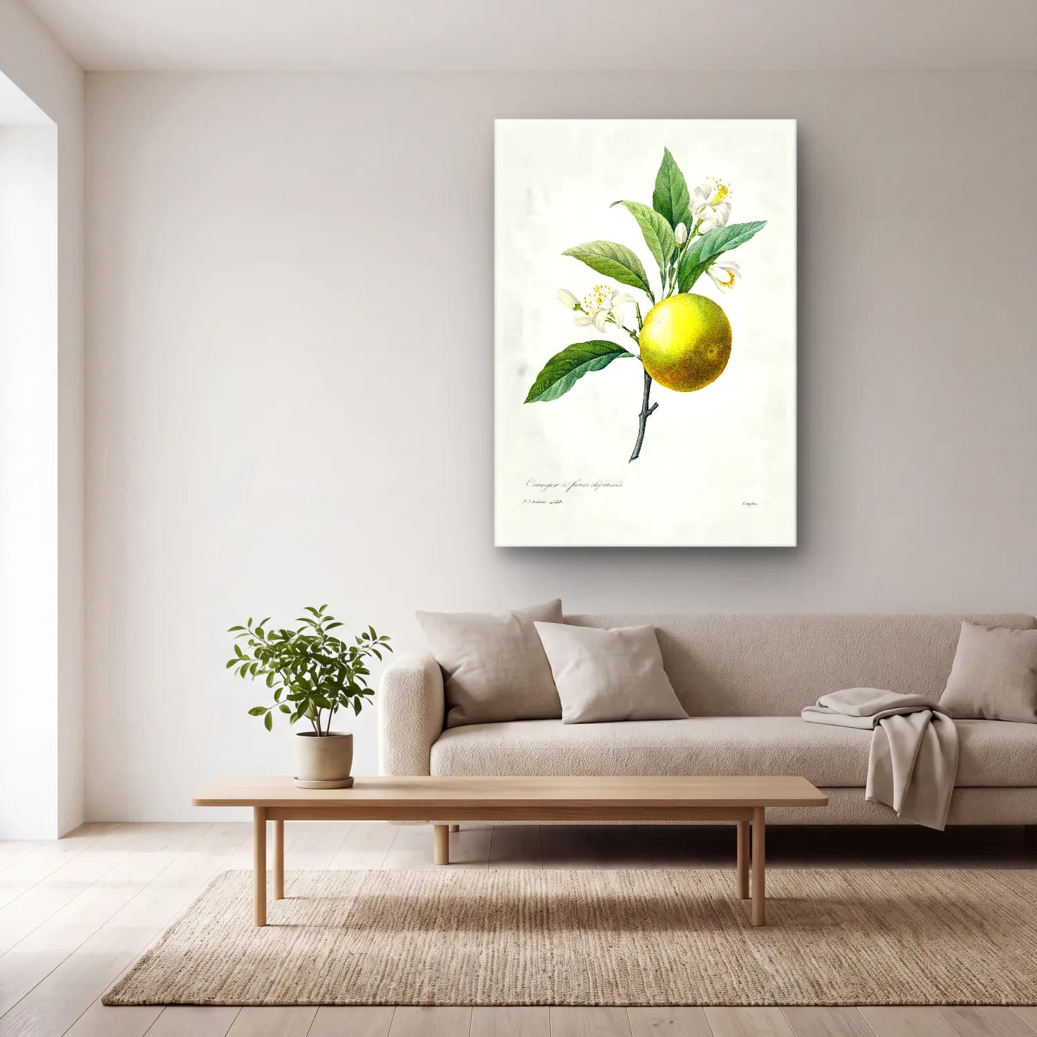 Botanik İllüstrasyon Limon Dalı No. 12 cam tablo — açık renk salonda