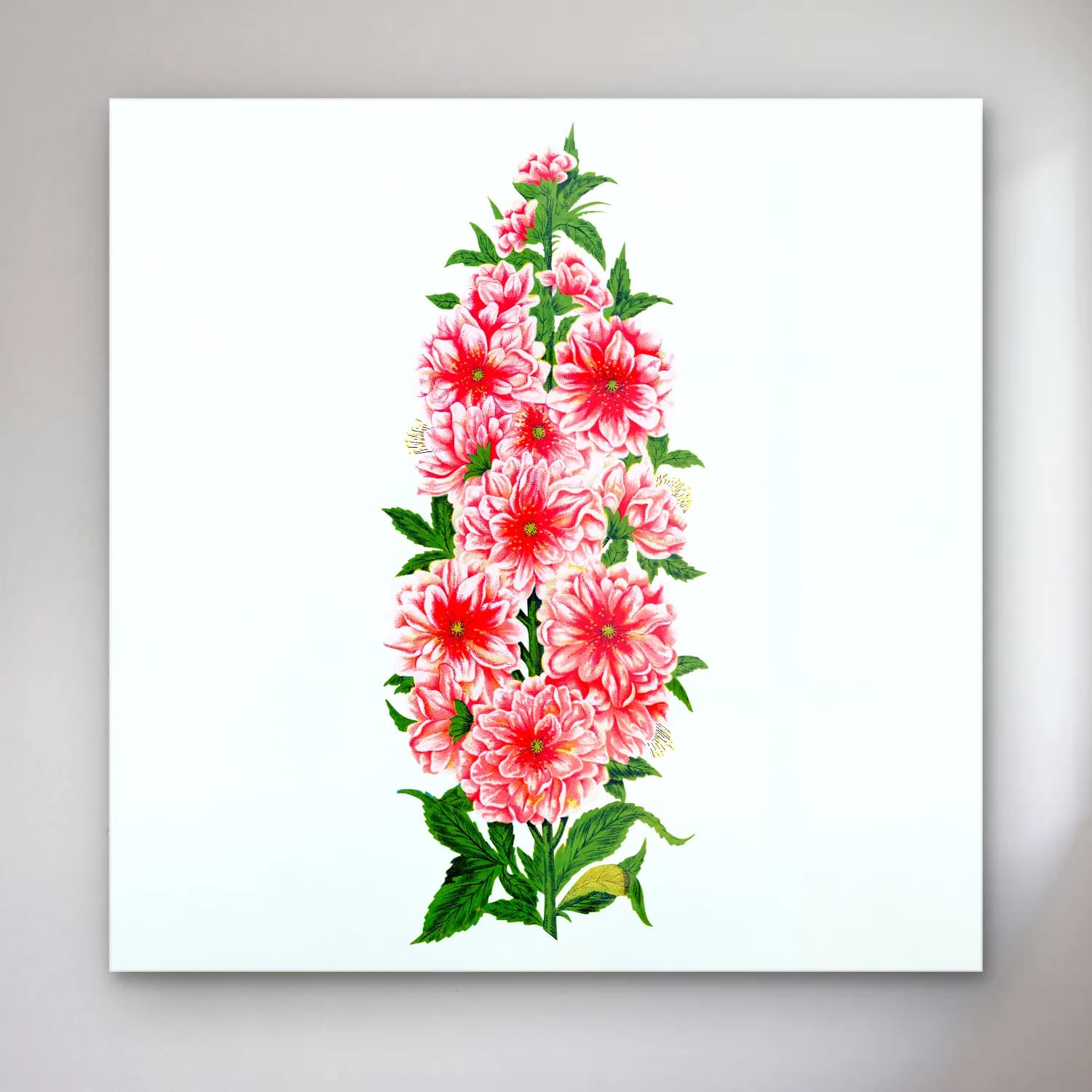 Botanik İllüstrasyon Pembe Şakayıklar No. 15 cam tablo — Botanik İllüstrasyon Pembe Şakayıklar No. 15 — botanik i̇llüstrasyon pembe şakayıklar