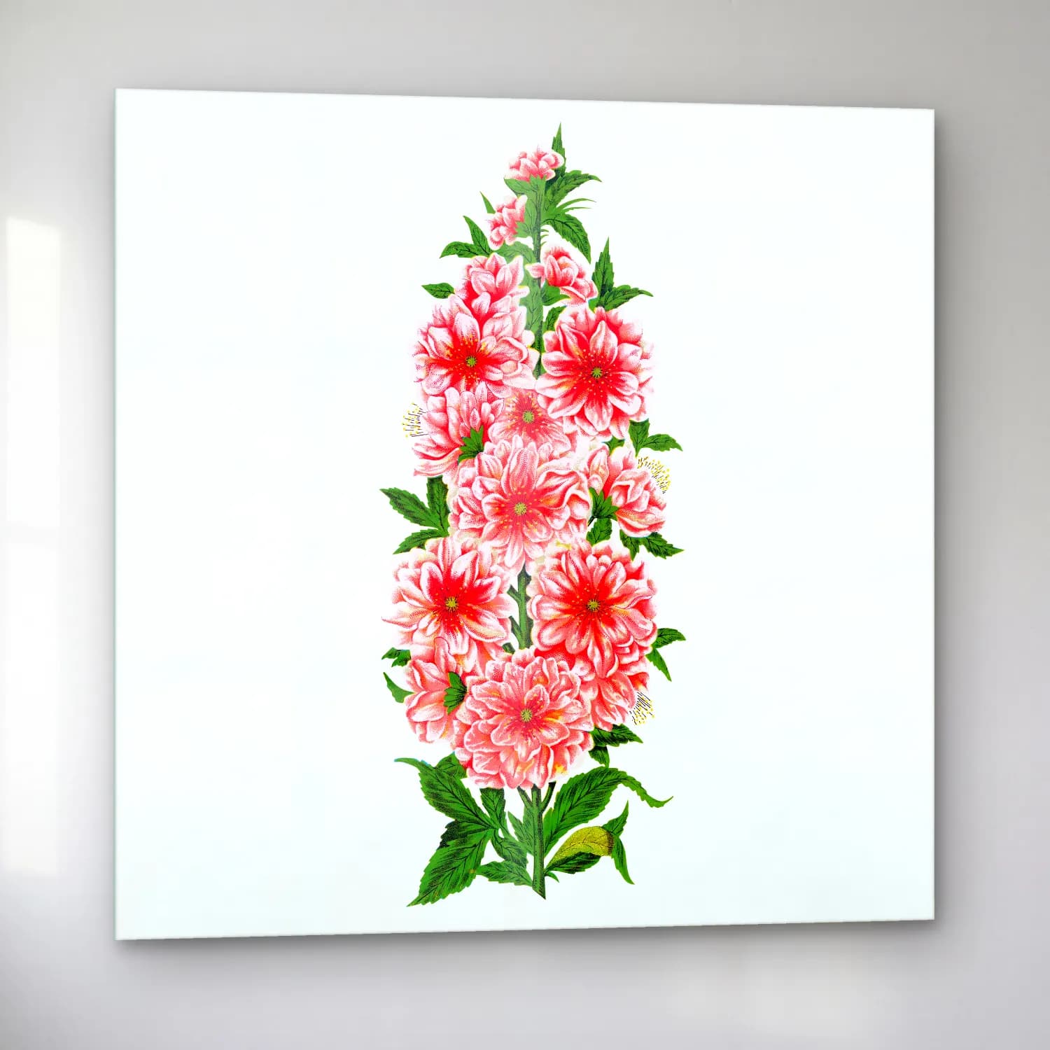 Botanik İllüstrasyon Pembe Şakayıklar No. 15 cam tablo — sol açıdan görünüm