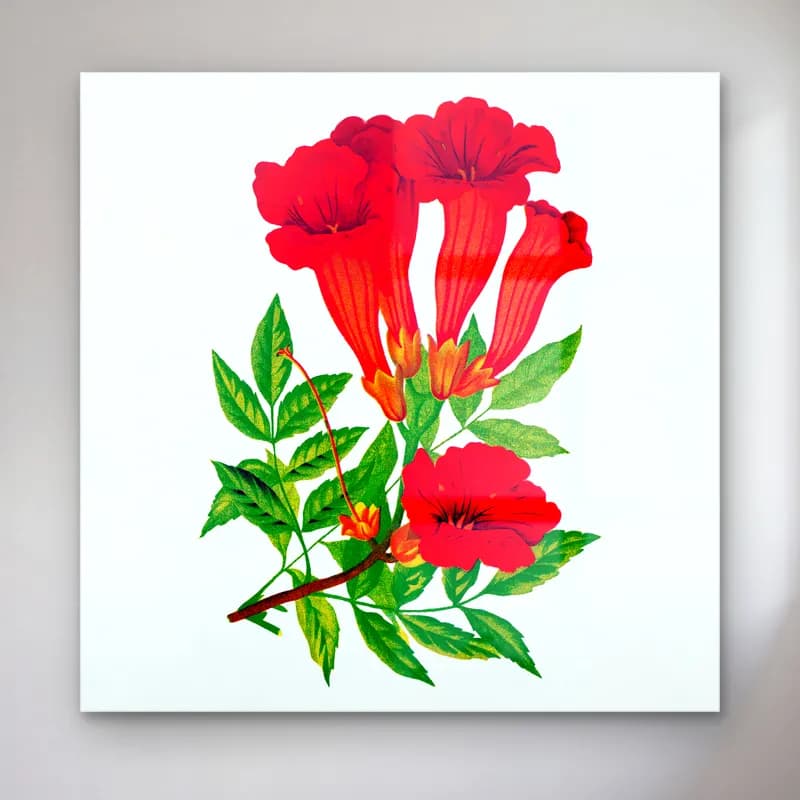 Botanik İllüstrasyon Çiçek Deseni No. 106 cam tablo — Botanik İllüstrasyon Çiçek Deseni No. 106 — botanik i̇llüstrasyon çiçek deseni