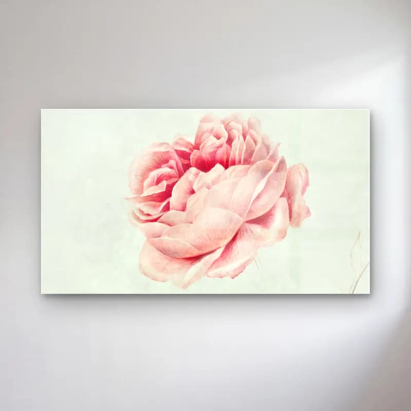 Botanik İllüstrasyon Pembe Şakayıklar No. 6 cam tablo — Botanik İllüstrasyon Pembe Şakayıklar No. 6 — botanik i̇llüstrasyon pembe şakayıklar