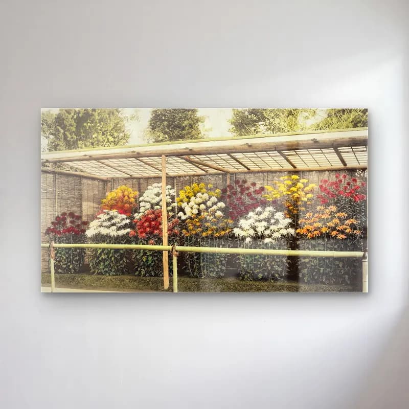 Vintage Çiçek Pazarı – Siyah Beyaz Tonlar cam tablo — Vintage Çiçek Pazarı – Siyah Beyaz Tonlar — vintage çiçek pazarı