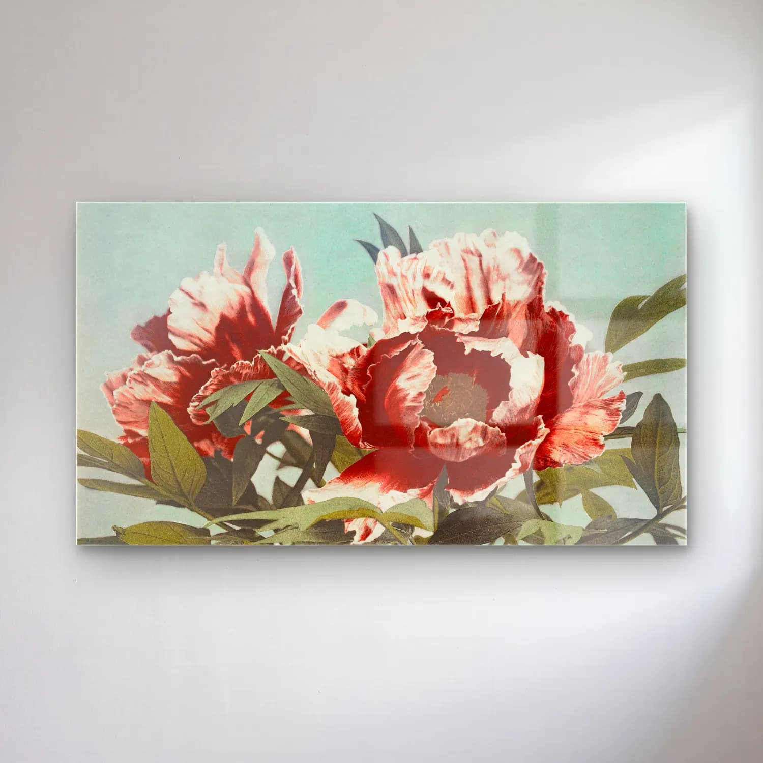 Botanik İllüstrasyon Pembe Şakayıklar No. 9 cam tablo — Botanik İllüstrasyon Pembe Şakayıklar No. 9 — botanik i̇llüstrasyon pembe şakayıklar