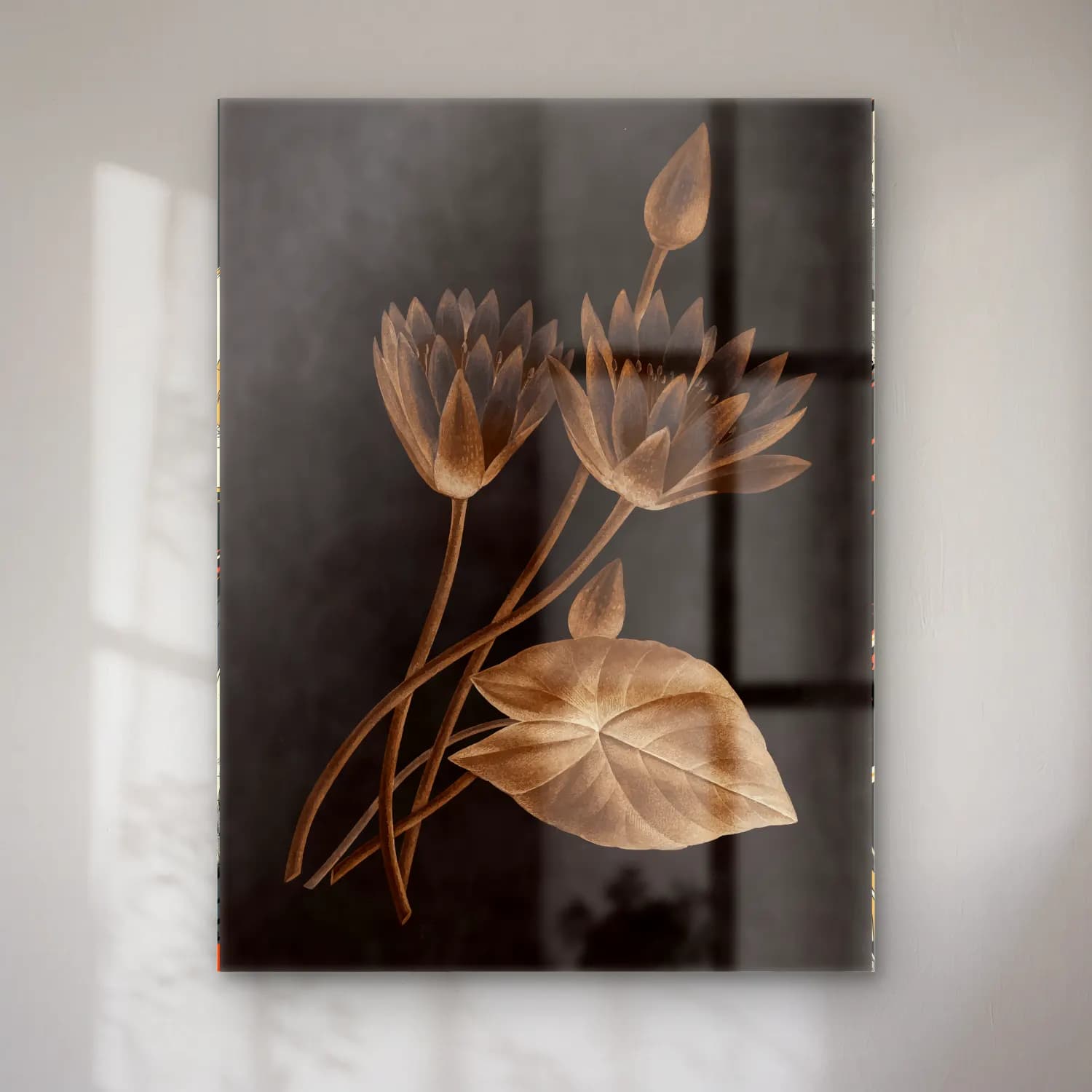 Botanik İllüstrasyon Lotus Çiçekleri No. 20 cam tablo — Botanik İllüstrasyon Lotus Çiçekleri No. 20 — botanik i̇llüstrasyon lotus çiçekleri