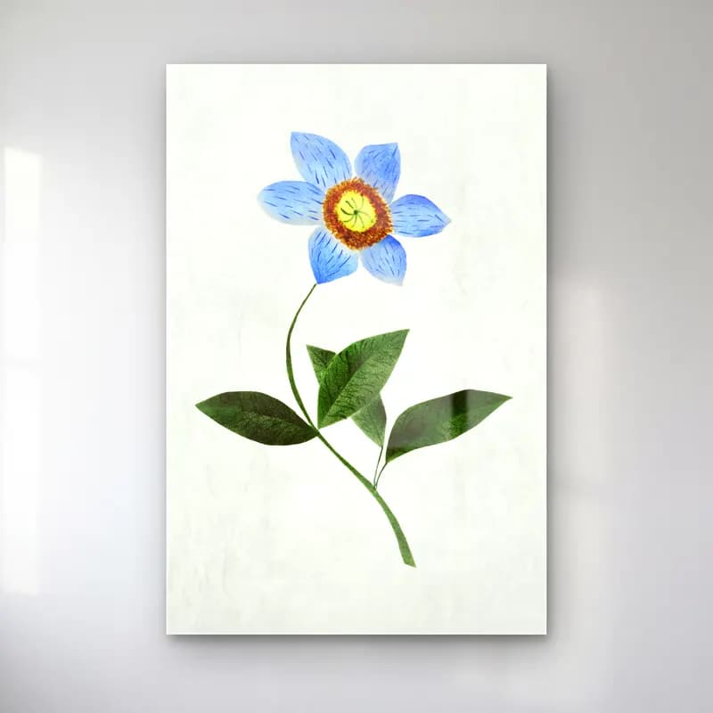 Mary Altha Nims – Star Flower cam tablo — Mary Altha Nims – Star Flower — botanik i̇llüstrasyon çiçek deseni