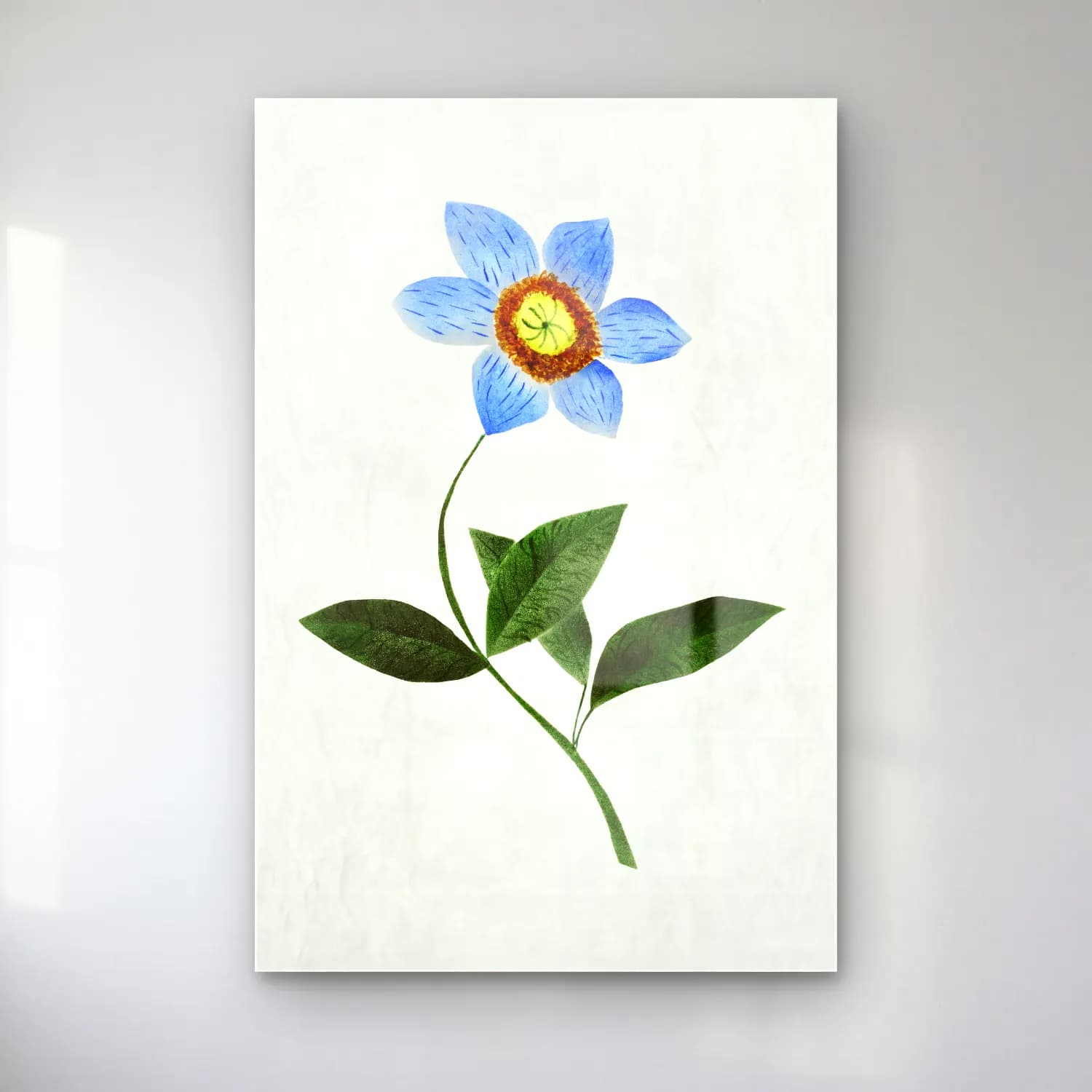 Mary Altha Nims – Star Flower cam tablo — Mary Altha Nims – Star Flower — botanik i̇llüstrasyon çiçek deseni
