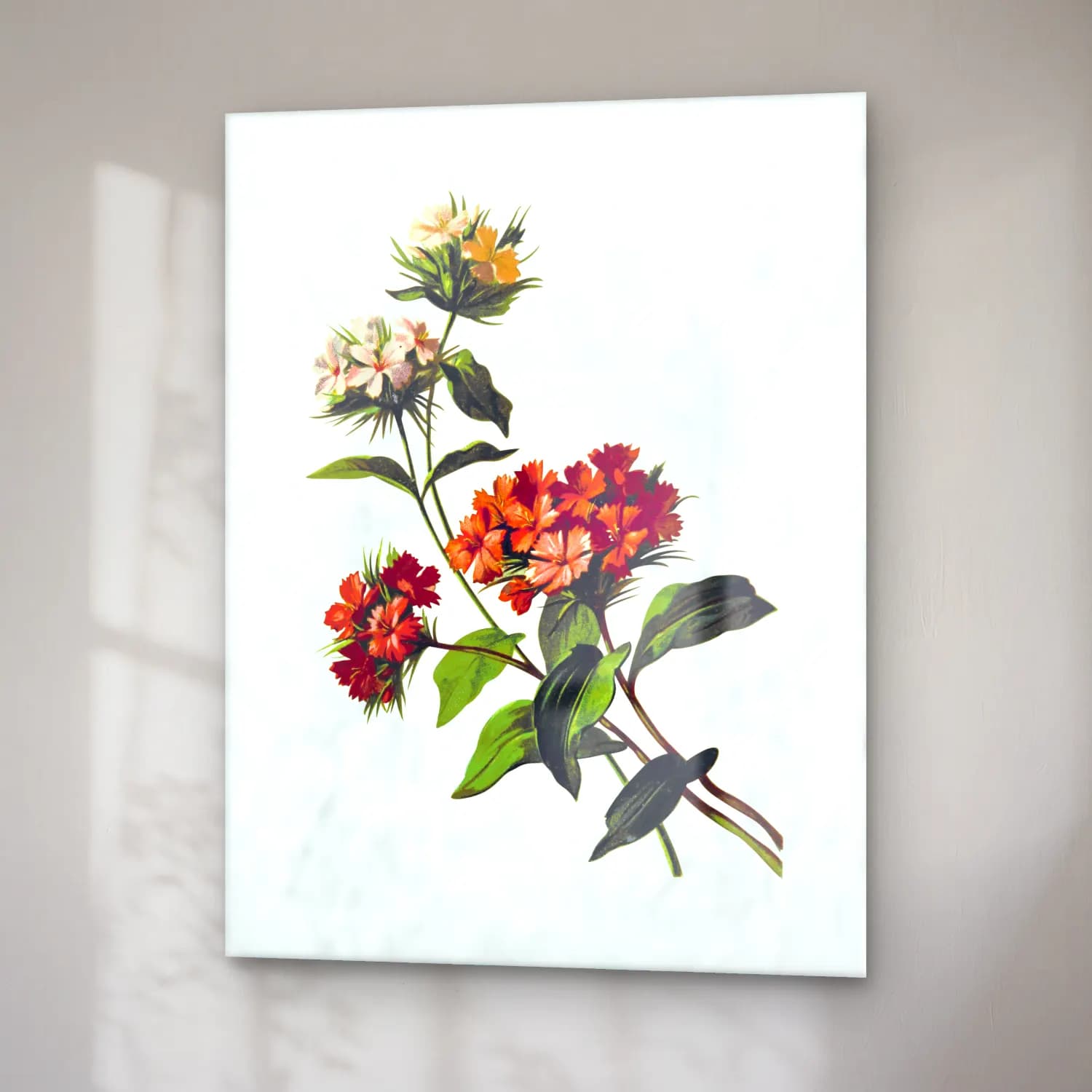 T. Fisher Unwin – Sweet William flower from Poets in the Garden published cam tablo — sağ açıdan görünüm