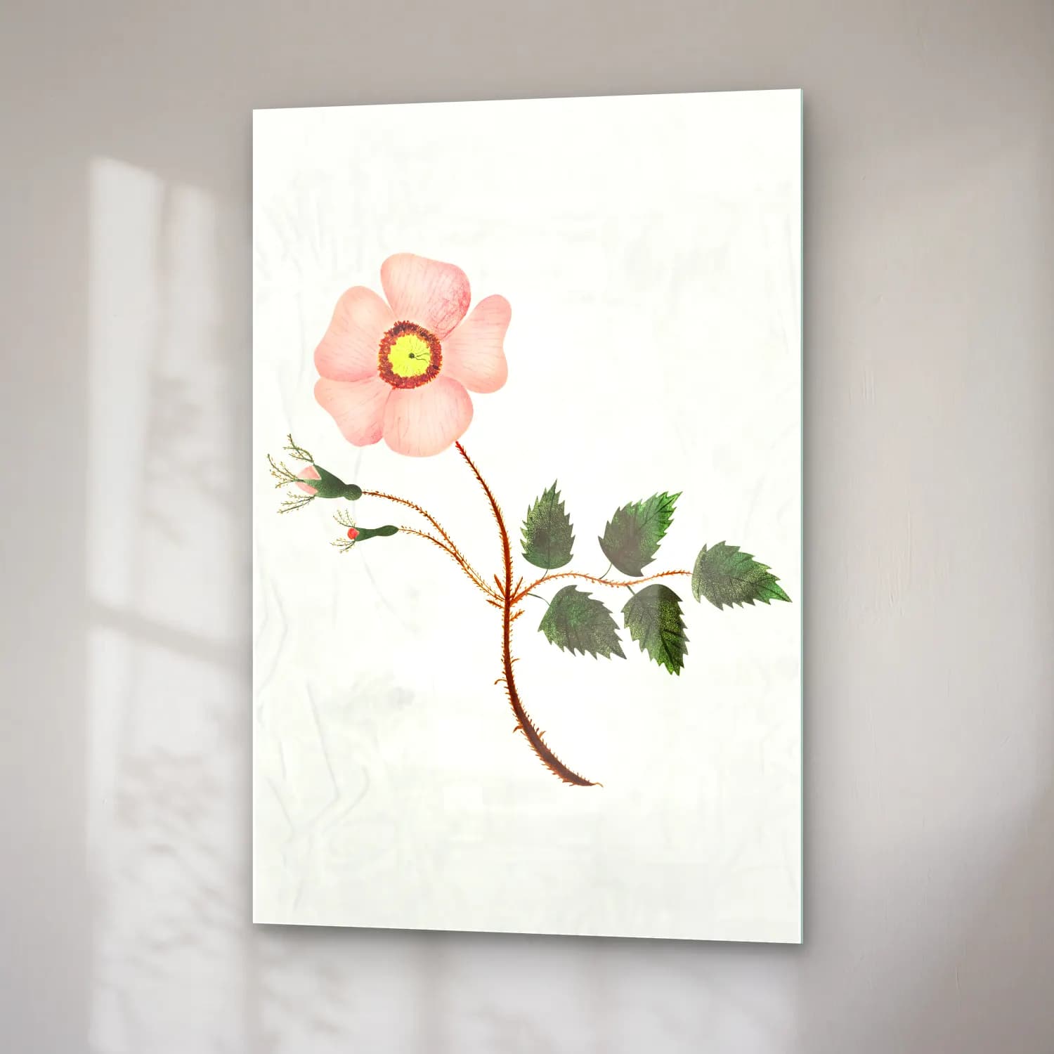 Mary Altha Nims – Wild Rose cam tablo — sağ açıdan görünüm