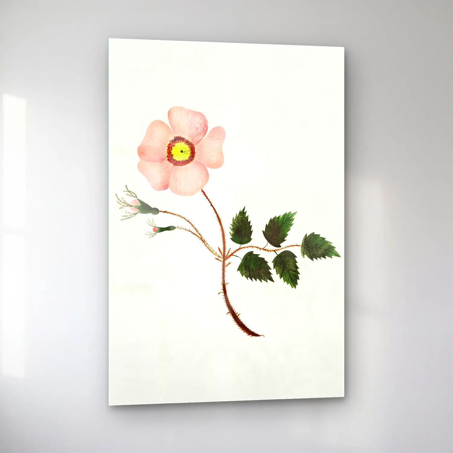 Mary Altha Nims – Wild Rose cam tablo — sol açıdan görünüm
