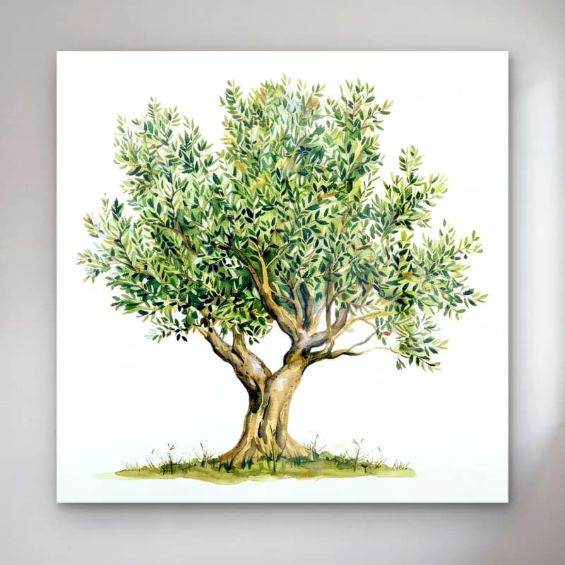 Botanik İllüstrasyon Zeytin Dalı No. 3 cam tablo — Botanik İllüstrasyon Zeytin Dalı No. 3 — botanik i̇llüstrasyon zeytin dalı