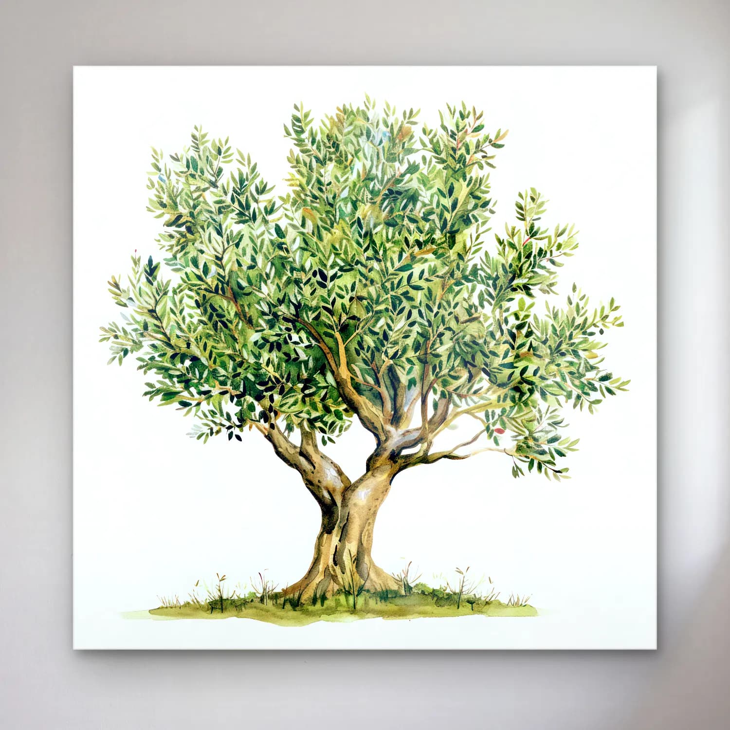 Botanik İllüstrasyon Zeytin Dalı No. 3 cam tablo — Botanik İllüstrasyon Zeytin Dalı No. 3 — botanik i̇llüstrasyon zeytin dalı