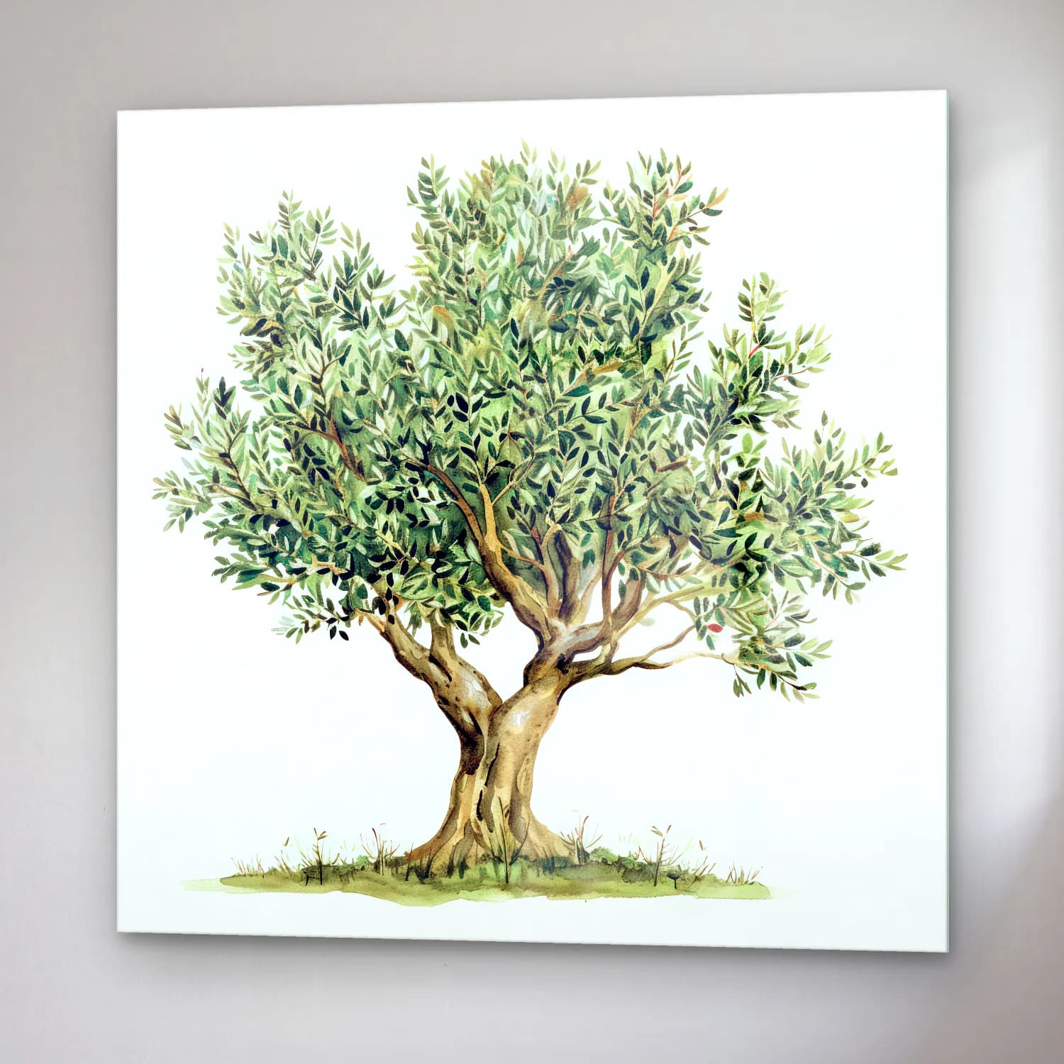 Botanik İllüstrasyon Zeytin Dalı No. 3 cam tablo — sağ açıdan görünüm