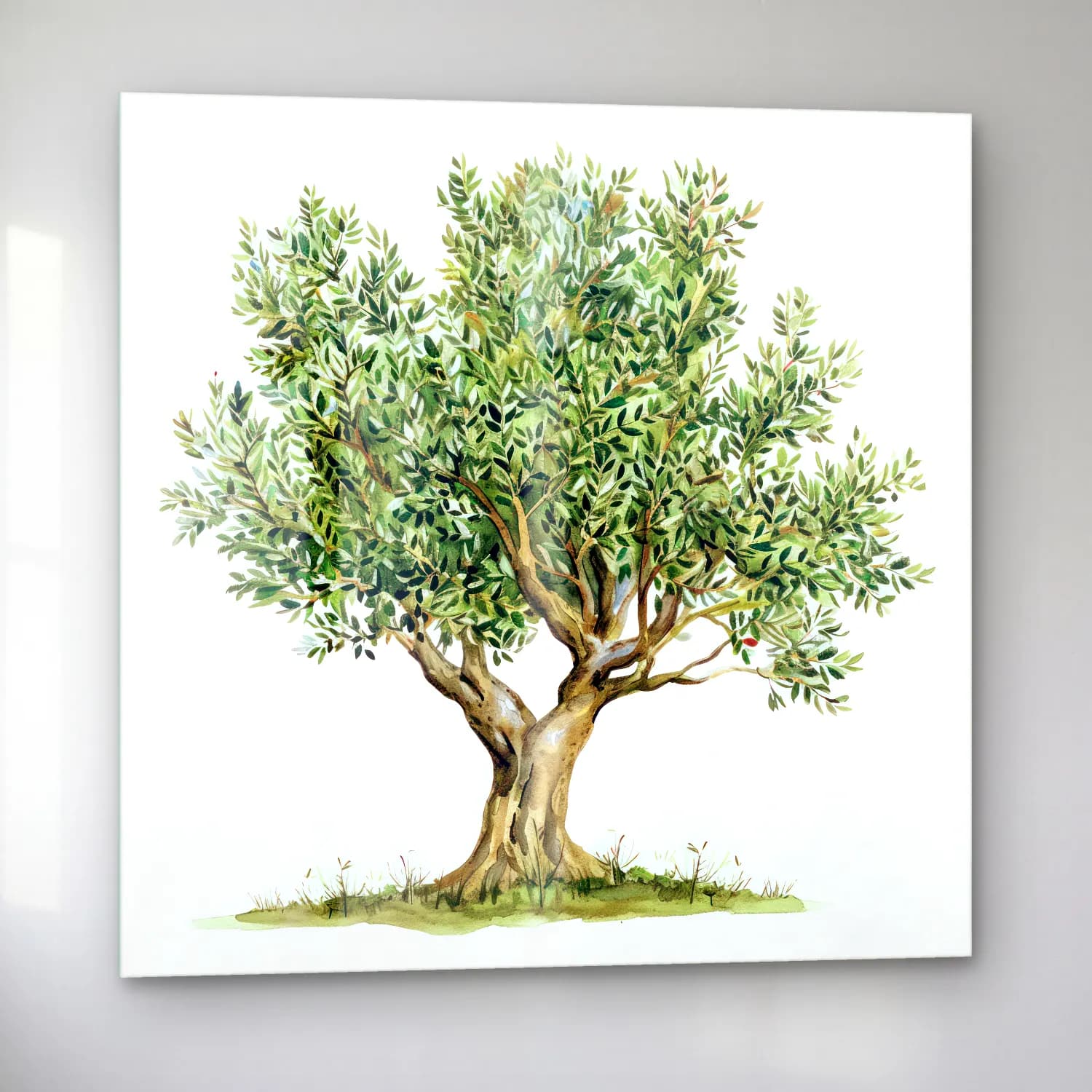 Botanik İllüstrasyon Zeytin Dalı No. 3 cam tablo — sol açıdan görünüm