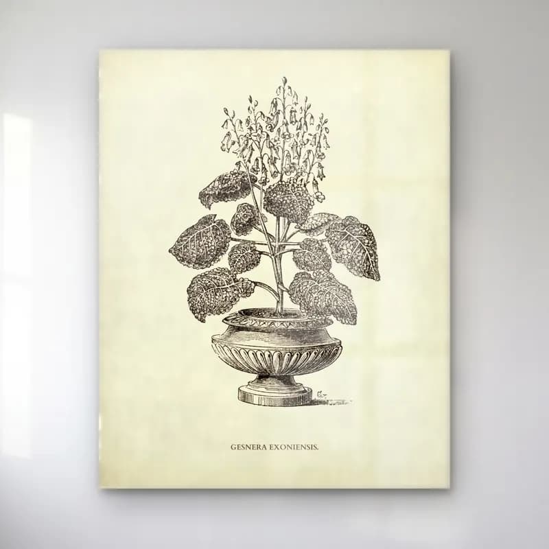 Botanik İllüstrasyon Vazo No. 24 cam tablo — Botanik İllüstrasyon Vazo No. 24 — botanik i̇llüstrasyon vazo