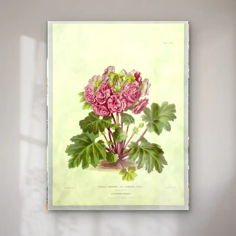 Botanik İllüstrasyon Çiçek Deseni No. 130 cam tablo — Botanik İllüstrasyon Çiçek Deseni No. 130 — botanik i̇llüstrasyon çiçek deseni