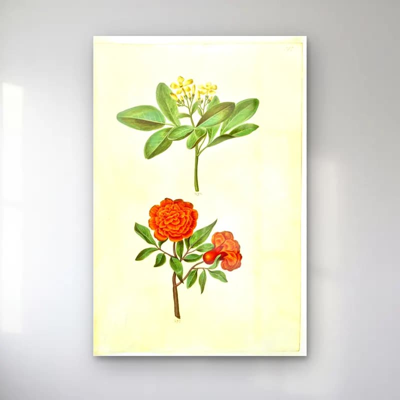 Botanik İllüstrasyon Çiçek Deseni No. 136 cam tablo — Botanik İllüstrasyon Çiçek Deseni No. 136 — botanik i̇llüstrasyon çiçek deseni