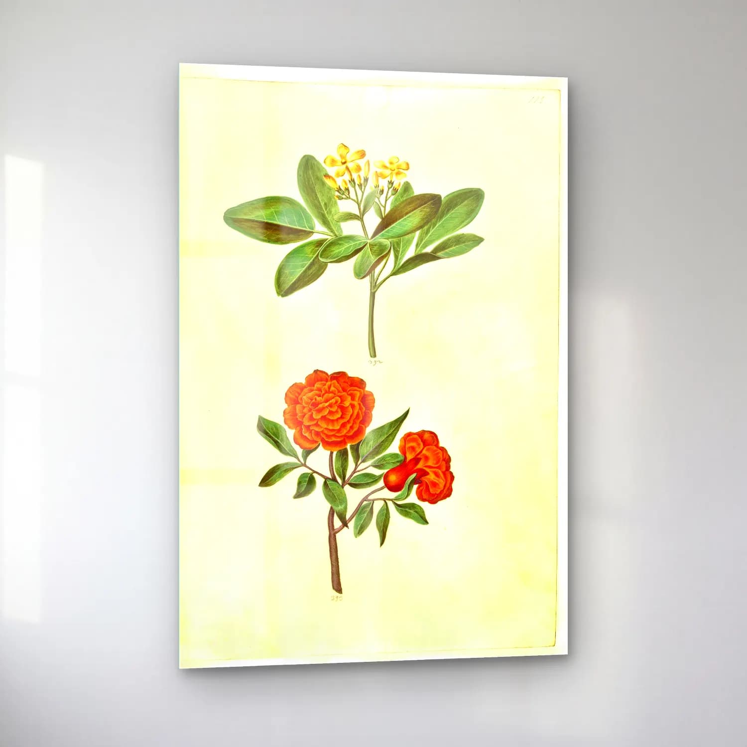 Botanik İllüstrasyon Çiçek Deseni No. 136 cam tablo — sol açıdan görünüm