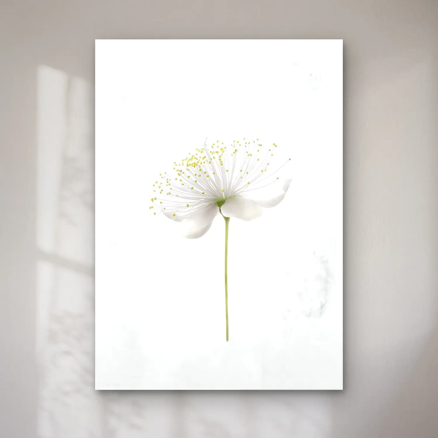 Botanik İllüstrasyon Kır Çiçekleri No. 113 cam tablo — Botanik İllüstrasyon Kır Çiçekleri No. 113 — botanik i̇llüstrasyon kır çiçekleri