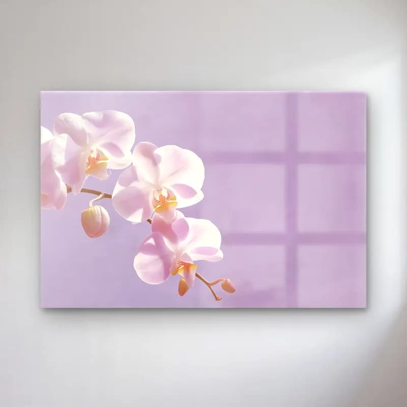 Pastel Orkideler cam tablo — Pastel Orkideler — pastel orkideler