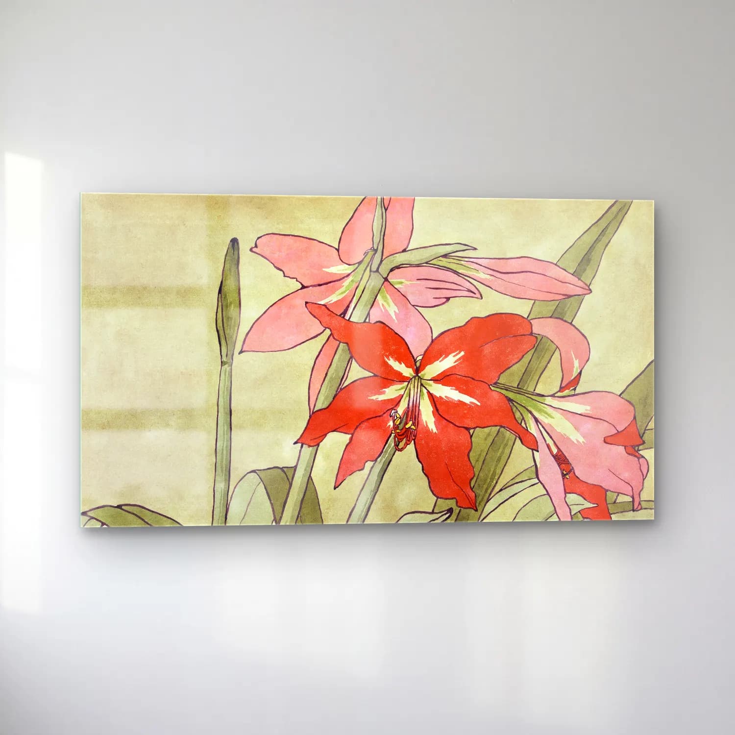 Hannah Borger Overbeck – Amaryllis cam tablo — sol açıdan görünüm