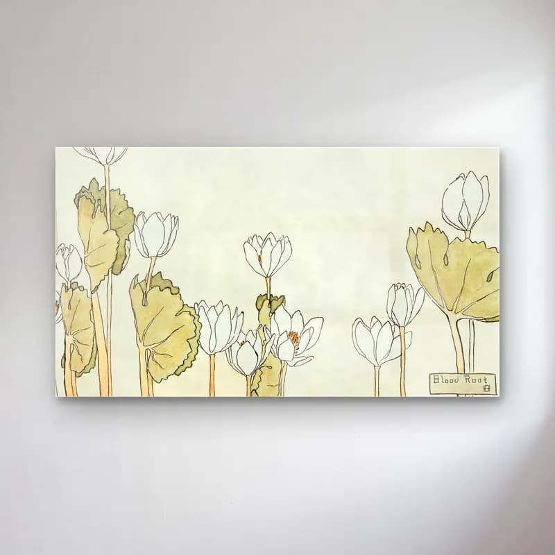 Hannah Borger Overbeck – Blood Root cam tablo — Hannah Borger Overbeck – Blood Root — botanik i̇llüstrasyon lotus çiçekleri