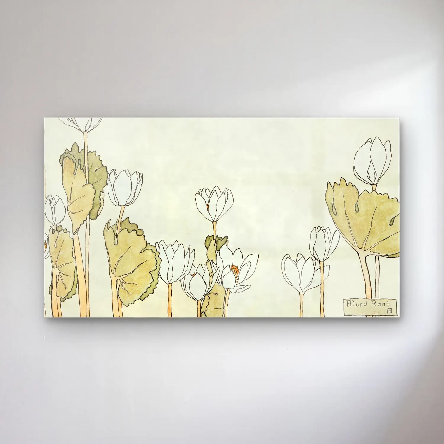 Hannah Borger Overbeck – Blood Root cam tablo — Hannah Borger Overbeck – Blood Root — botanik i̇llüstrasyon lotus çiçekleri