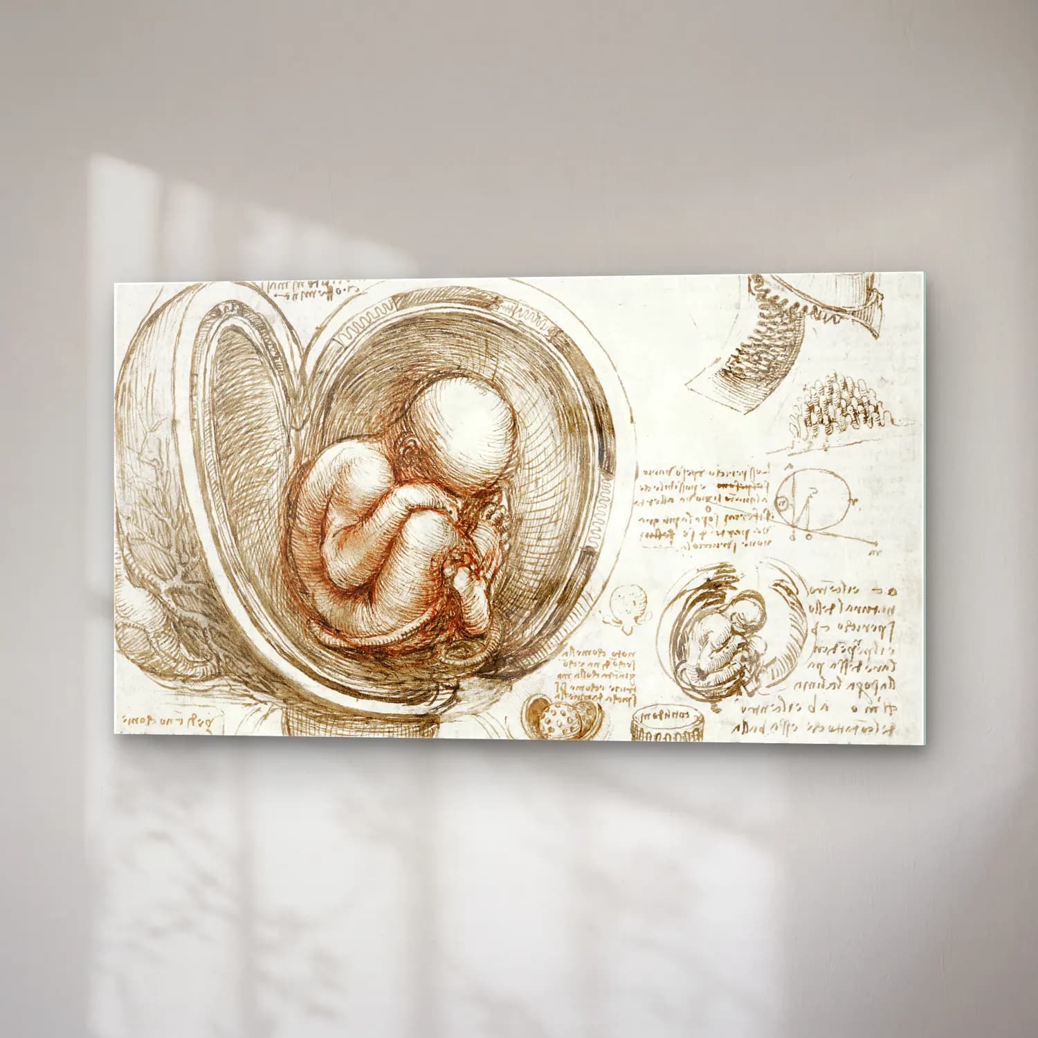 Leonardo da Vinci – Studies of the Fetus in the Womb cam tablo — sağ açıdan görünüm