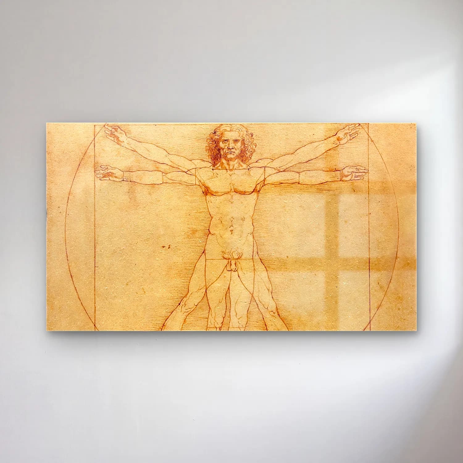 Leonardo da Vinci – Vitruvian Man cam tablo — Leonardo da Vinci – Vitruvian Man — vintage figür çalışması