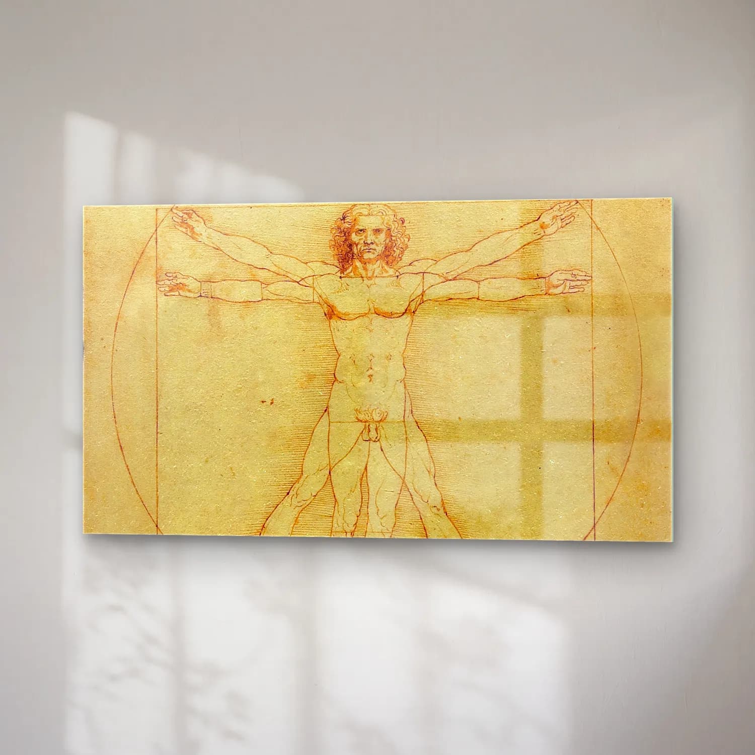 Leonardo da Vinci – Vitruvian Man cam tablo — sağ açıdan görünüm