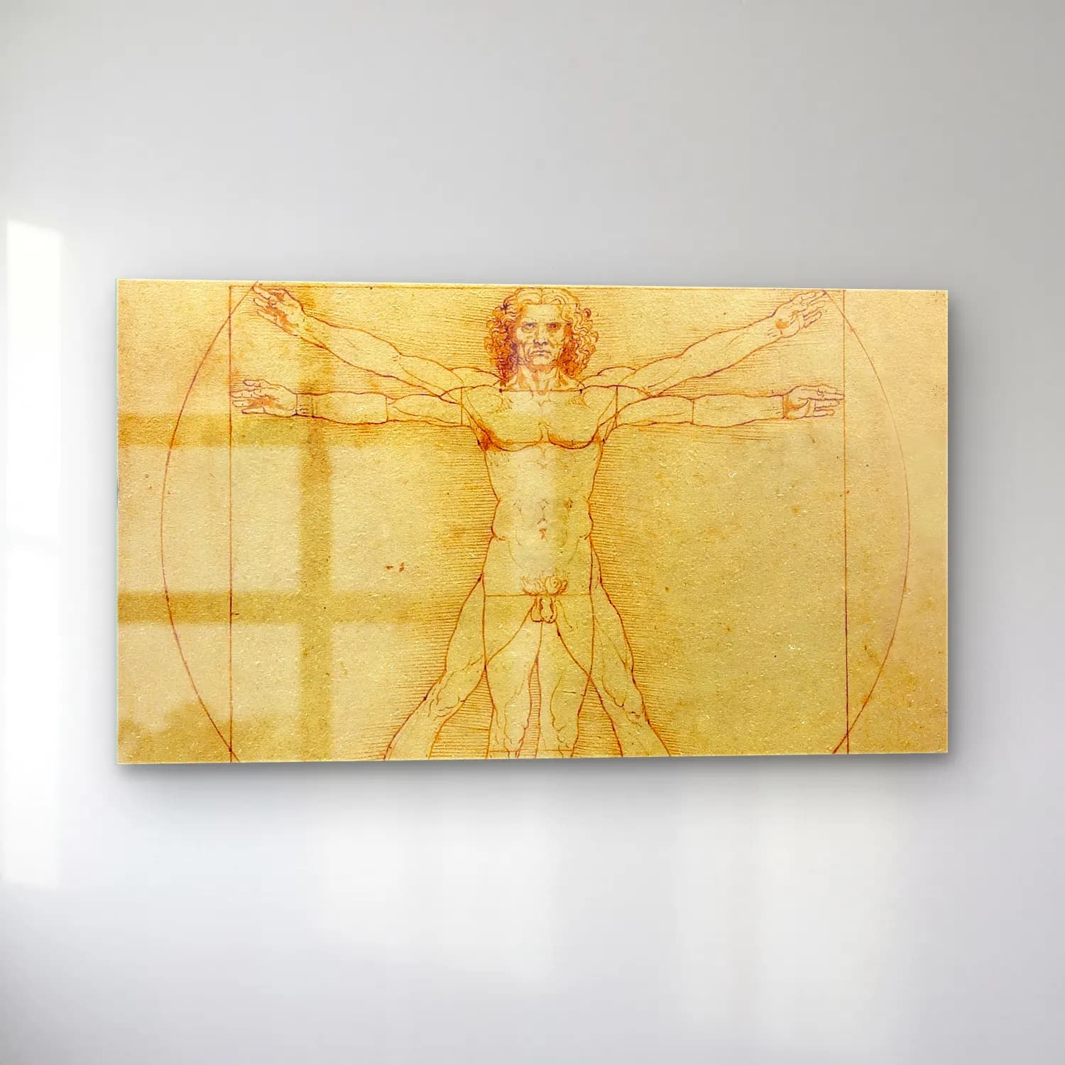 Leonardo da Vinci – Vitruvian Man cam tablo — sol açıdan görünüm