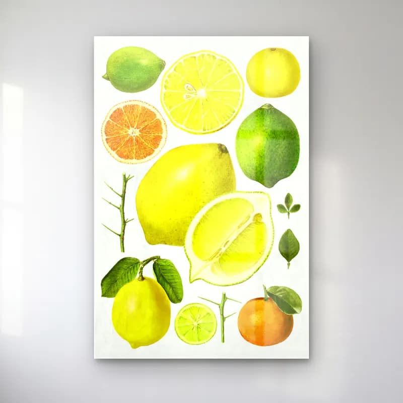 Botanik İllüstrasyon Limonlar No. 6 cam tablo — Botanik İllüstrasyon Limonlar No. 6 — botanik i̇llüstrasyon limonlar