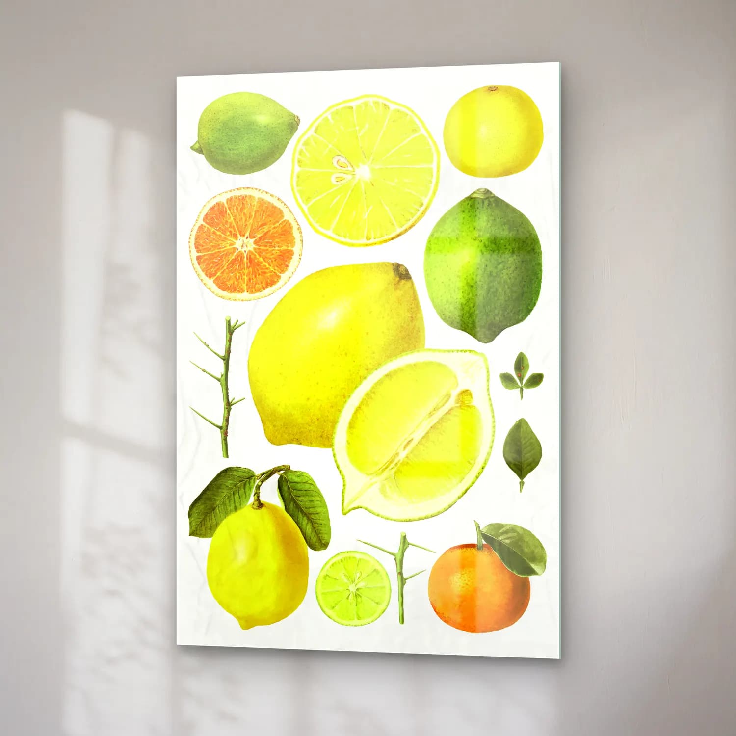 Botanik İllüstrasyon Limonlar No. 6 cam tablo — sağ açıdan görünüm