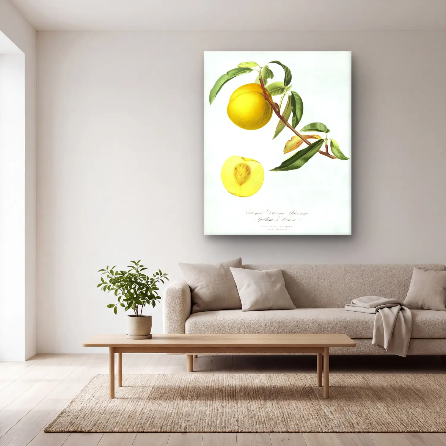 Botanik İllüstrasyon Limon Dalı No. 12 cam tablo — açık renk salonda