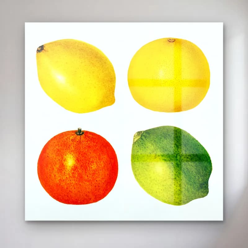 Botanik İllüstrasyon Limonlar – Turuncu Tonlar cam tablo — Botanik İllüstrasyon Limonlar – Turuncu Tonlar — botanik i̇llüstrasyon limonlar