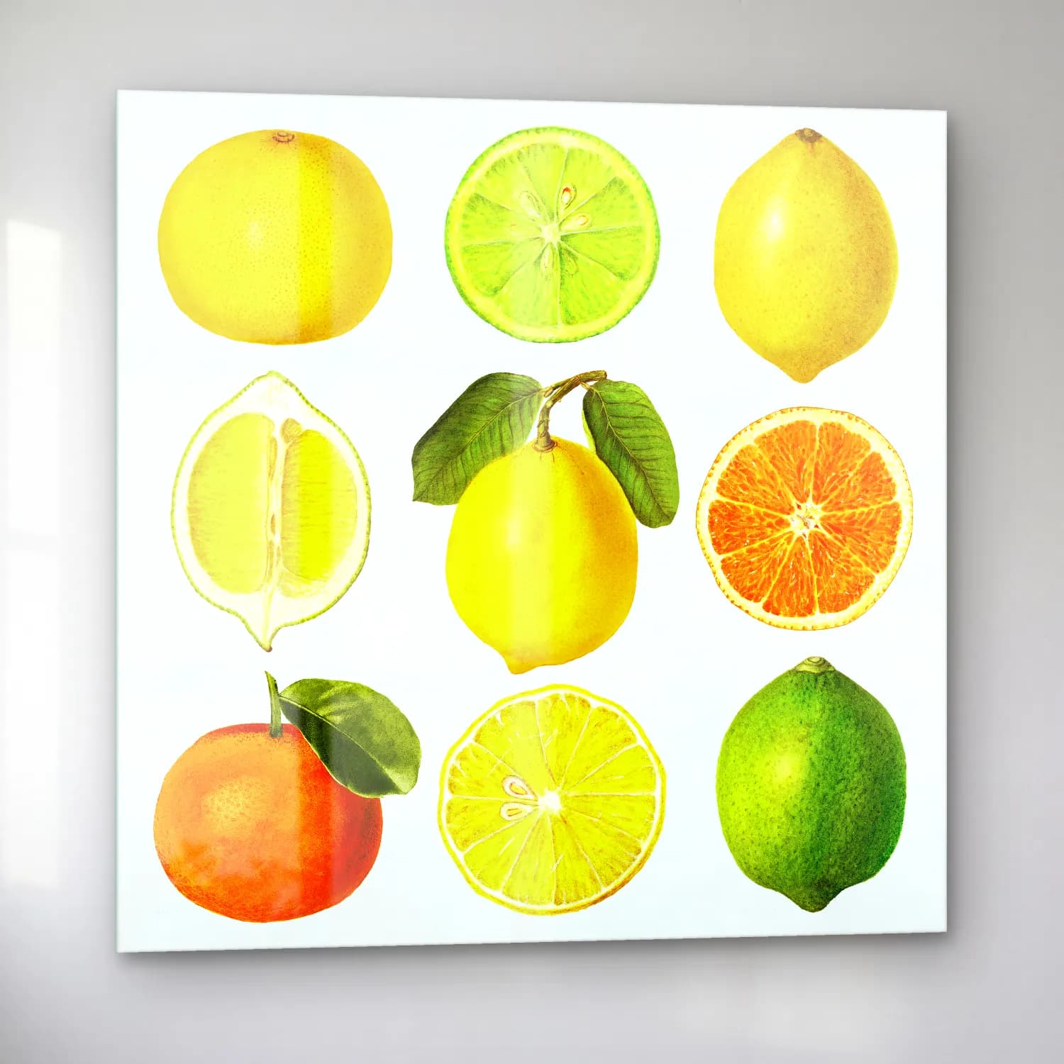 Vintage Limonlar No. 9 cam tablo — sol açıdan görünüm