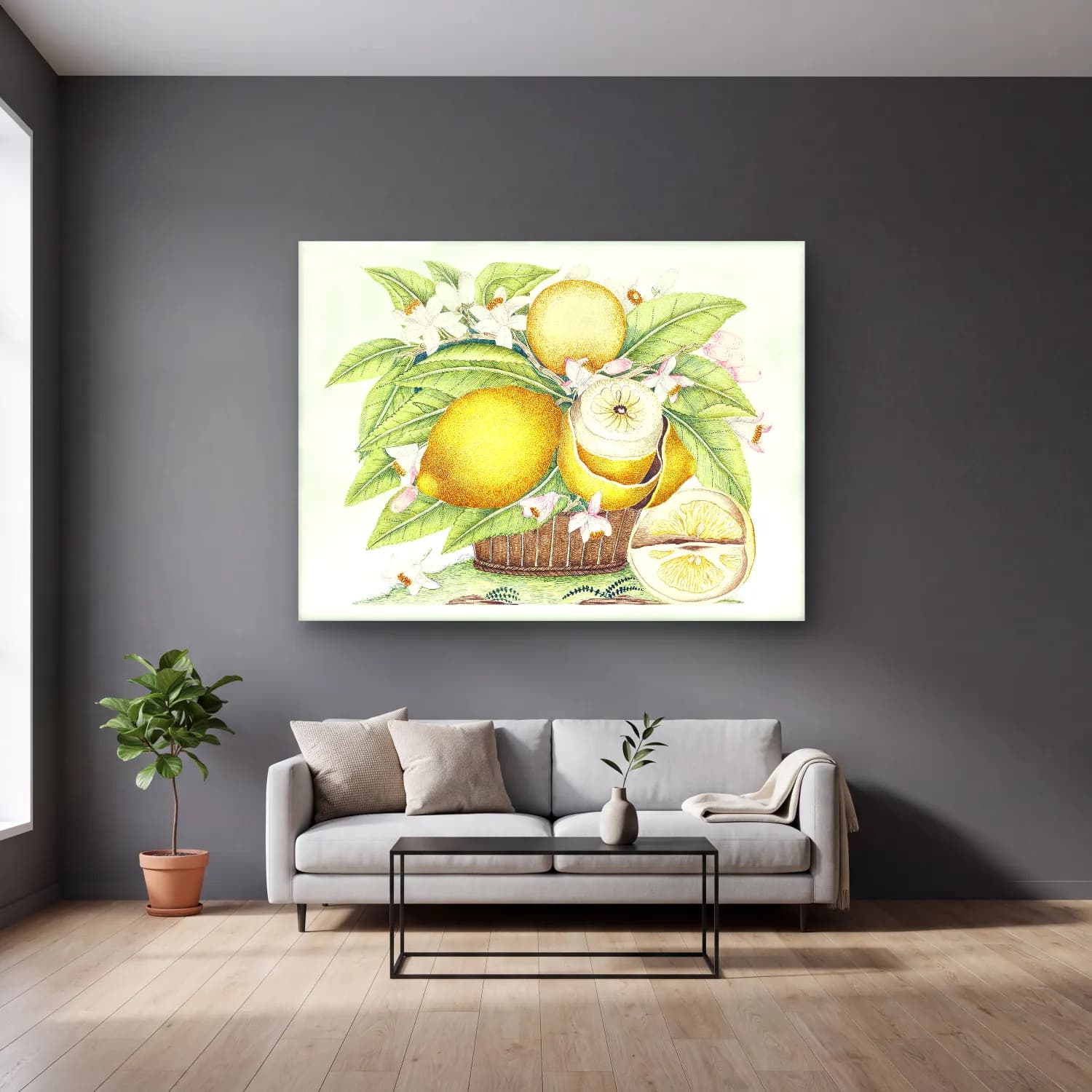Botanik İllüstrasyon Limonlar No. 12 cam tablo — gri duvarlı salonda