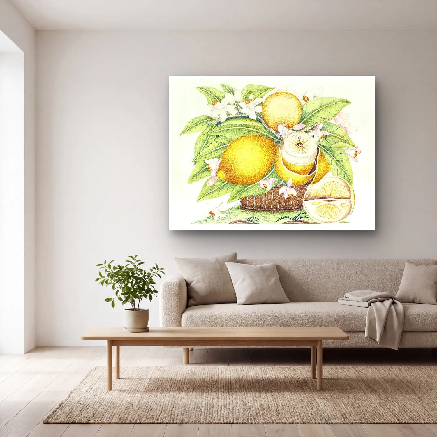 Botanik İllüstrasyon Limonlar No. 12 cam tablo — açık renk salonda